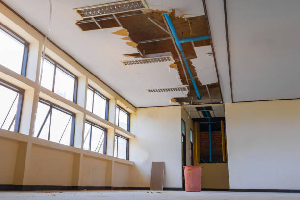 Best Water damage cleanup near me  in Markham, IL
