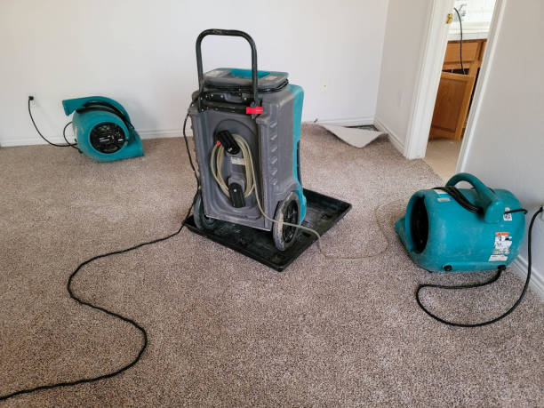 Best Water damage mitigation services  in Markham, IL