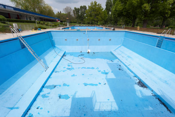 Best Basement water damage restoration  in Markham, IL