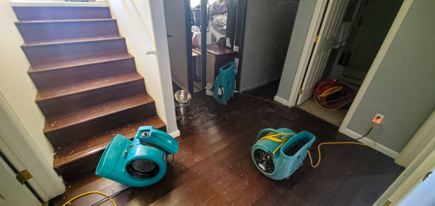 Water damage restoration experts in IL