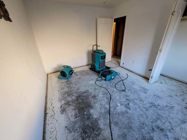 Best 24-hour water damage restoration  in Markham, IL