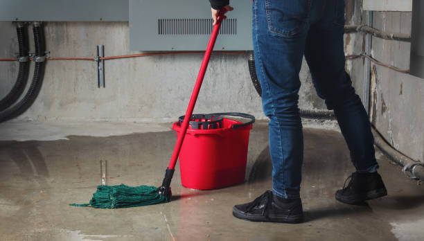 Best 24/7 water damage repair  in Markham, IL
