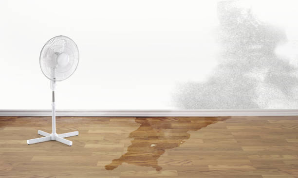  Markham, IL Water damage restoration Pros
