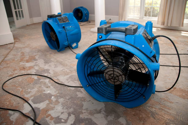Best Water damage restoration near me  in Markham, IL