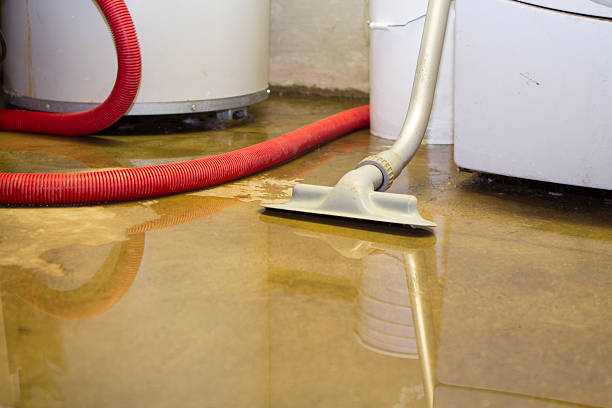 Best Local water damage restoration  in Markham, IL
