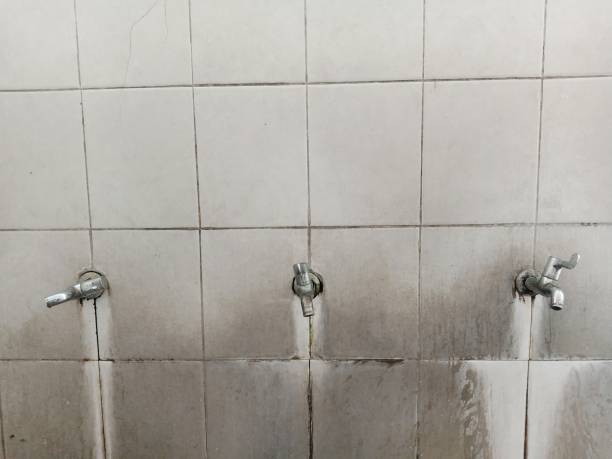 Best Carpet water damage restoration  in Markham, IL