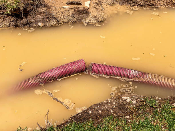 Best Mold removal after water damage  in Markham, IL
