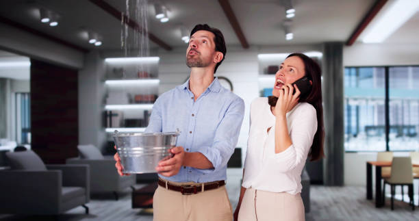 Best Water damage contractors near me  in Markham, IL