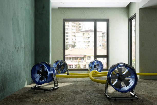 Best Flood damage cleanup  in Markham, IL
